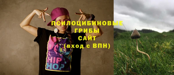 МДПВ Волоколамск