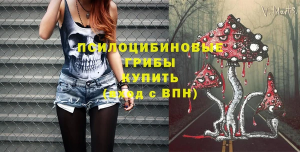 МДПВ Володарск