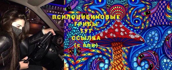 МДПВ Волоколамск