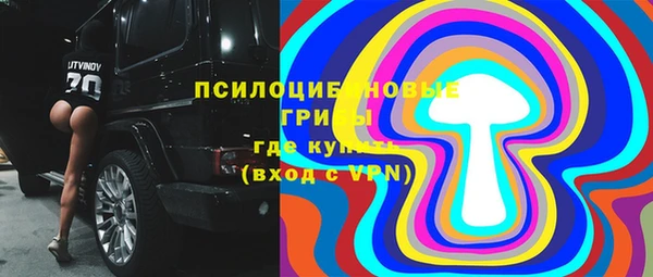 МДПВ Волоколамск