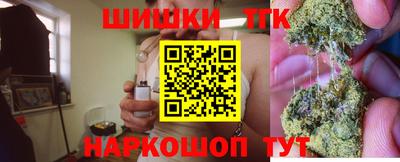 крисы Пыть-Ях