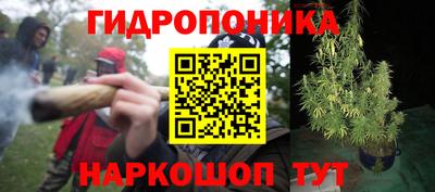 ГАЛЛЮЦИНОГЕННЫЕ ГРИБЫ Бийск