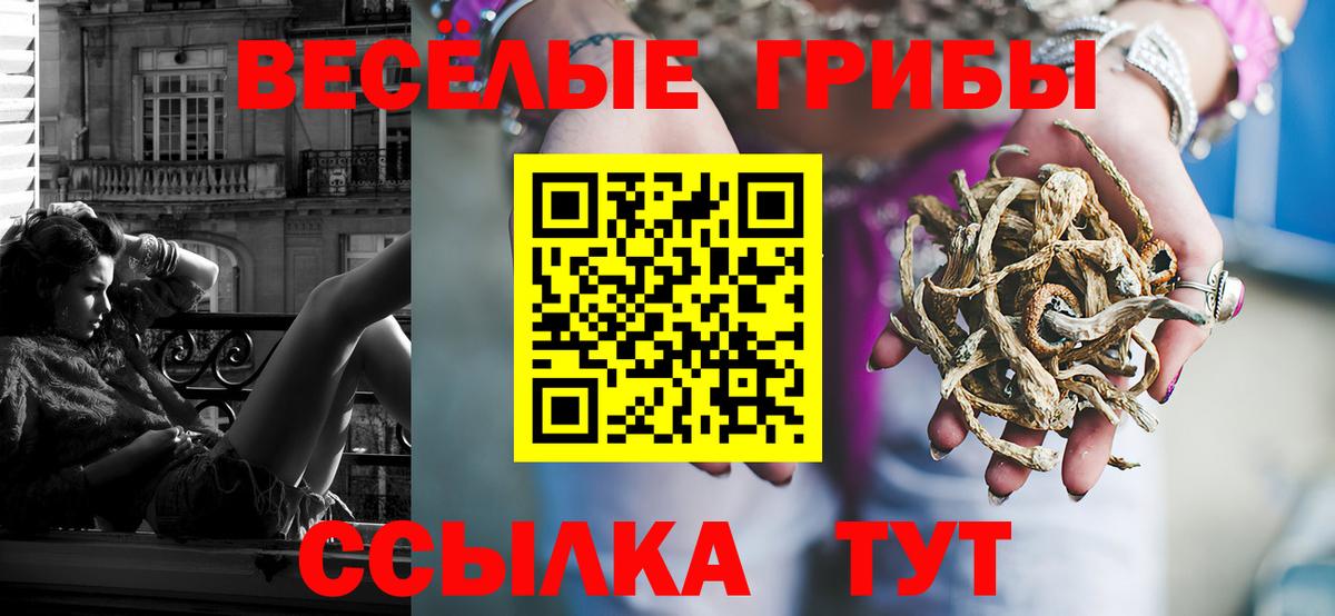 Псилоцибиновые грибы ЛСД  Вход с VPN  Моршанск 